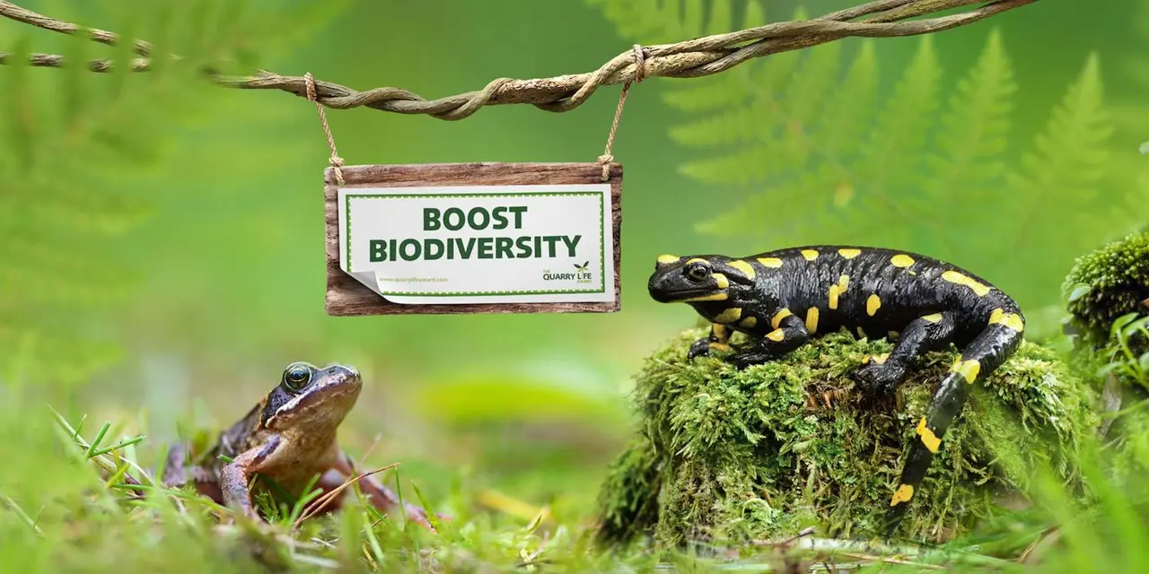 Două amfibii stau pe mușchi într-un mediu natural, cu un semn suspendat pe care scrie „Boost Biodiversity”.